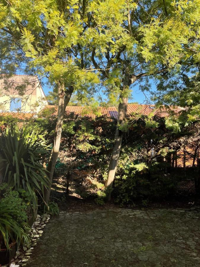 Villa Les Mimosas à Saint-Trojan-les-Bains Extérieur photo