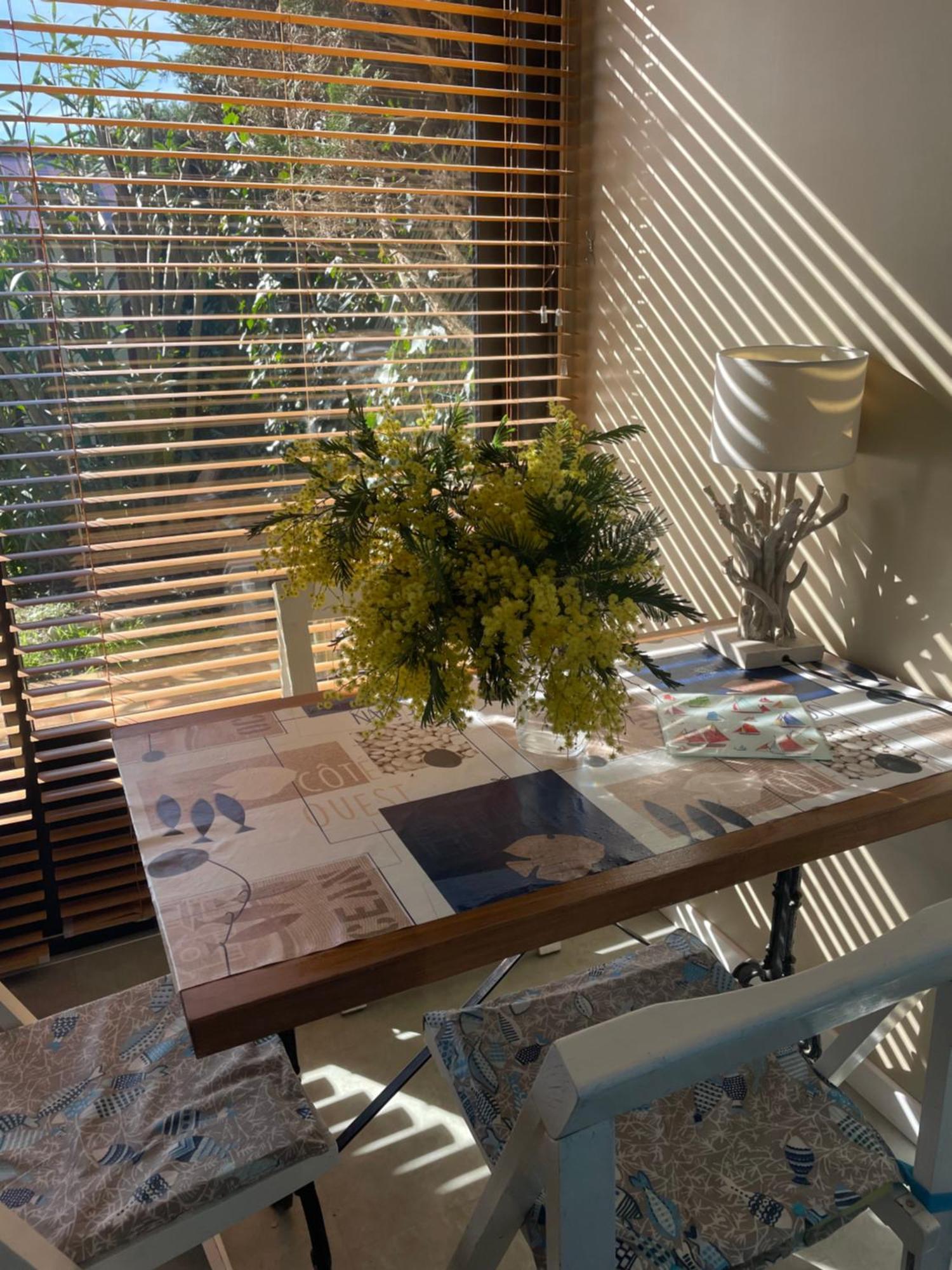 Villa Les Mimosas à Saint-Trojan-les-Bains Extérieur photo